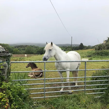 Bed & Breakfast Railway Avenue