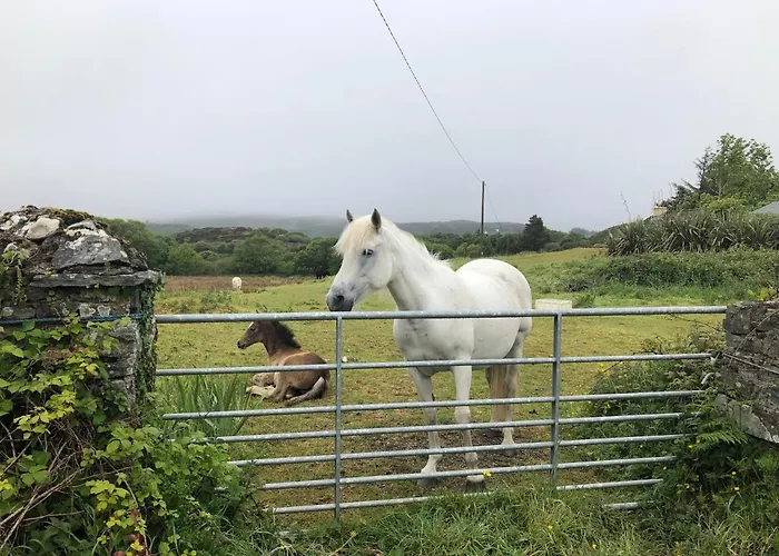 Panzió Railway Avenue