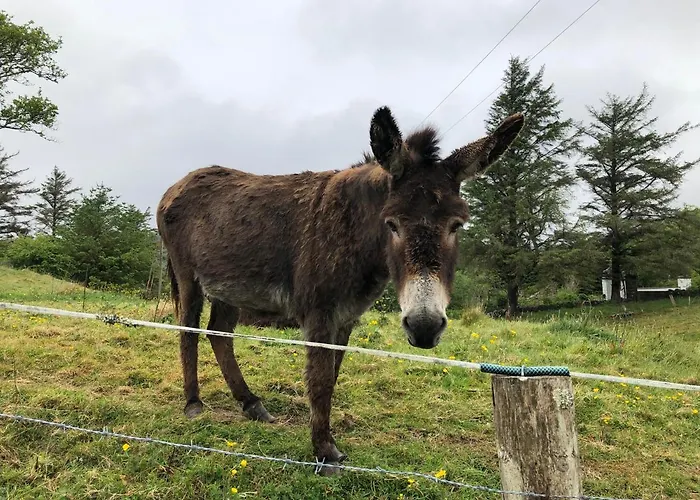 Railway Avenue Bed & Breakfast