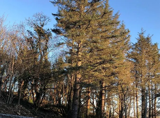 Railway Avenue Panzió *